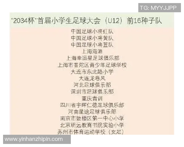 保安如何识别足球明星的技巧与视频解说全解析